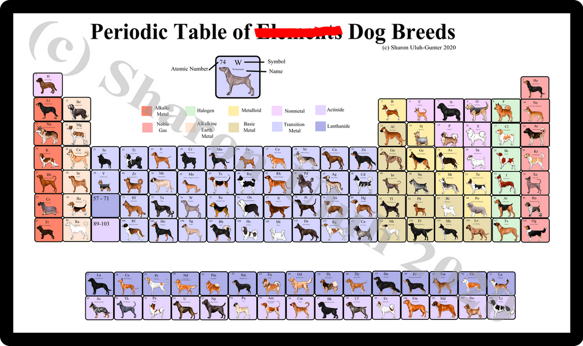 Dogs Root Table Periodic Table of Dogs by Xenothere on DeviantArt