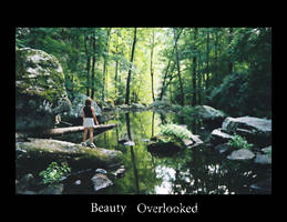 Beauty Overlooked