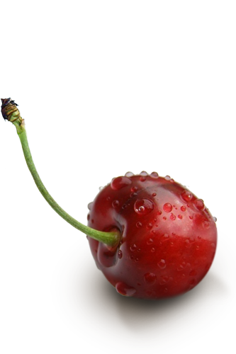 Cherry