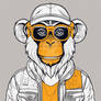 Yellow Monkey