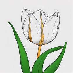 100$ Tulip