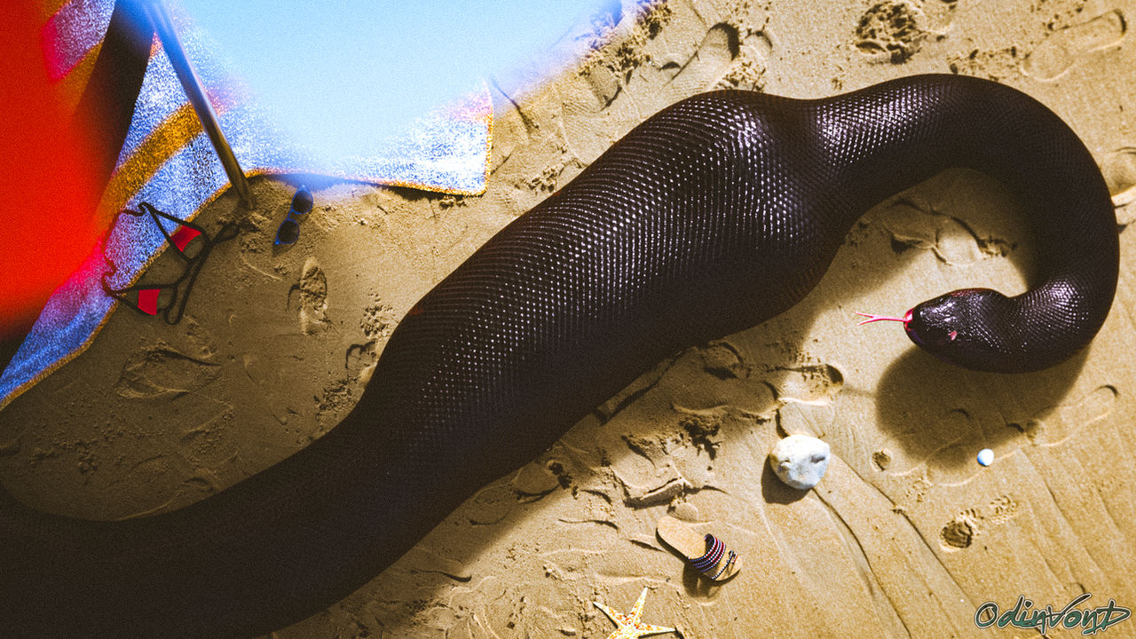 Snake Scar All New Scar by OdinV0nD on DeviantArt
