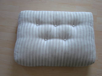 A Cushion