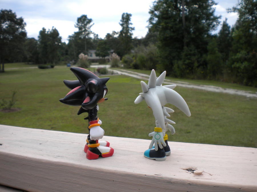 Caption this!: Shadow and Silver pic :Part 2: