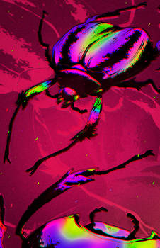 psychedelic scarab