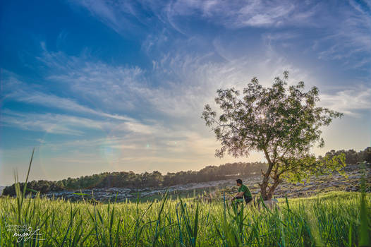 spring in jordan