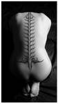 Superimposed tattoo Spine by Imagink