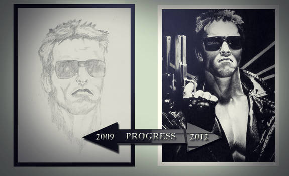 Progress 2009 - 2012