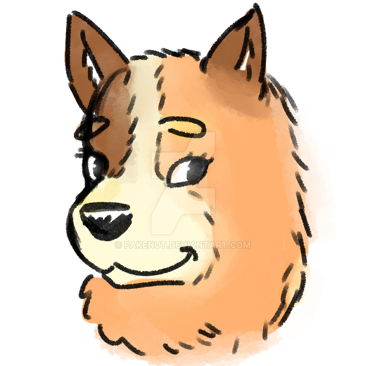 Chilli Heeler by Fakenut on DeviantArt