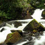 Svartskog waterscape