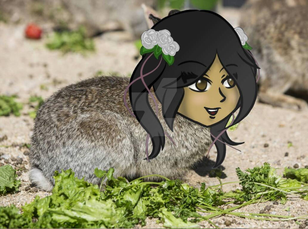 Smoll Edgy Bunny by DustRaccoon1987 on DeviantArt