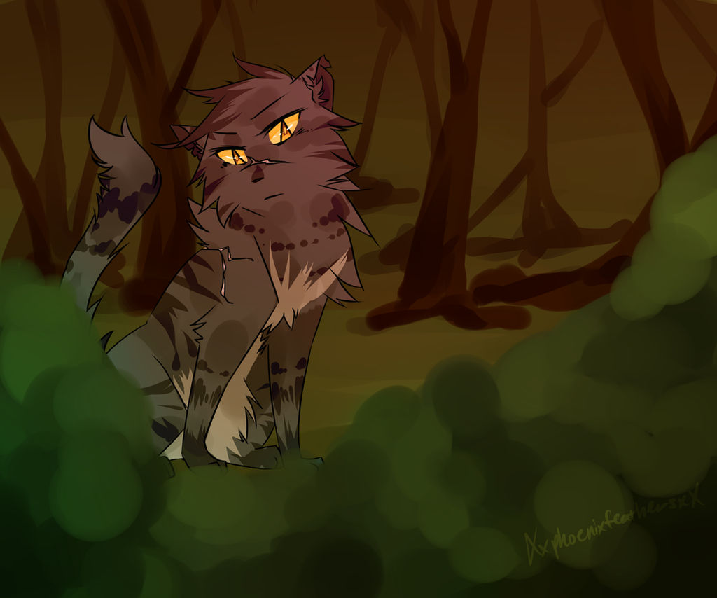 ThunderClan's Best Deputy