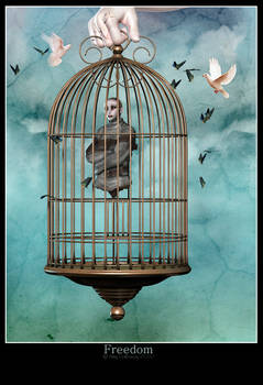 Caged Freedom