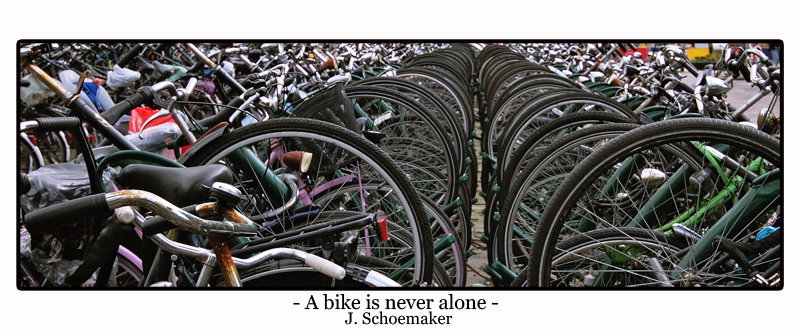 A bike is never alone