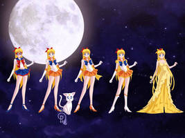 Sailor Venus's Evolution