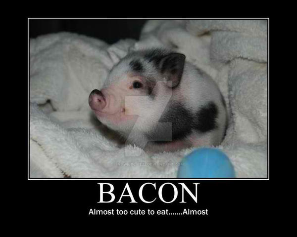 Bacon!!!!!!!!!!! SOOOOO CUTE!!!!!