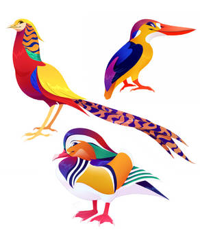 Some Colorful Birds