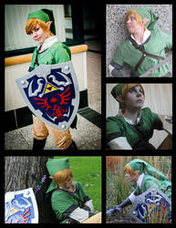 Link Cosplay Collage
