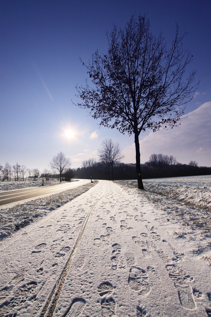 winter path