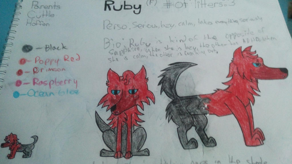 Character Sheet Ruby By Pokyzard On DeviantArt