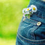 Spring In My Blue Jeans.