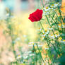 Foule sentimentale II