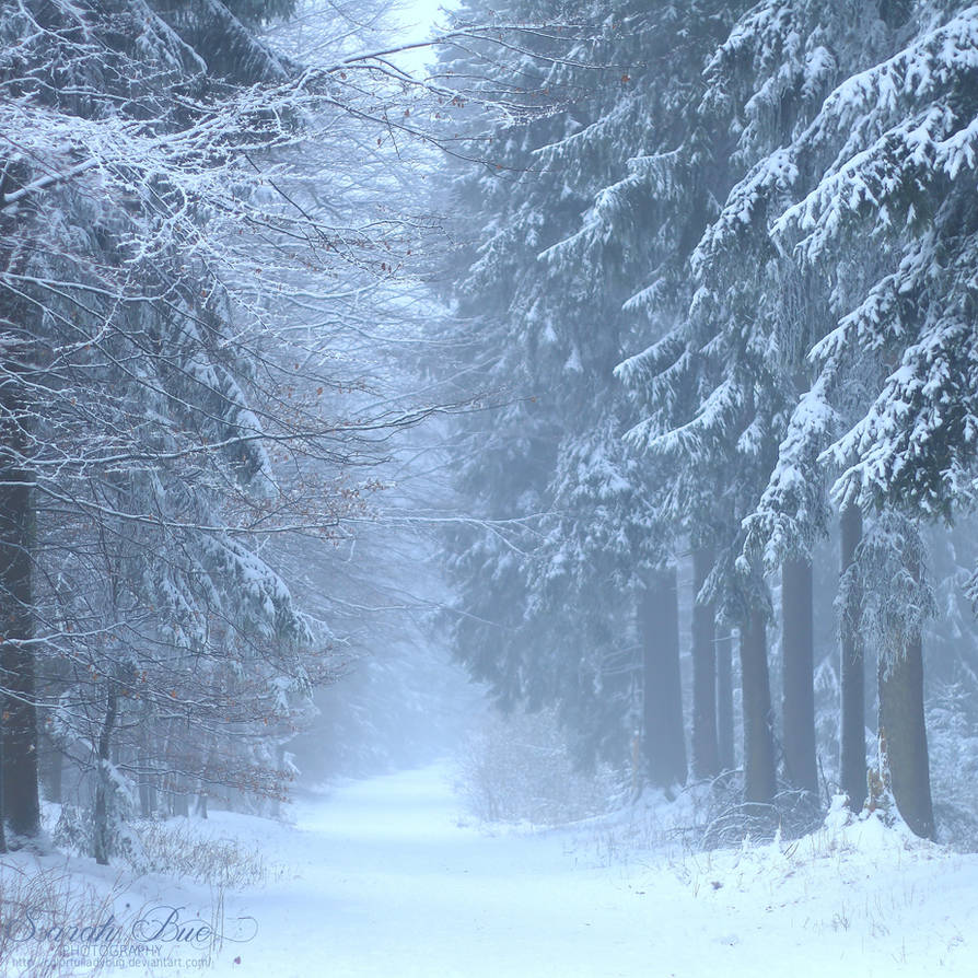 Winter Wonderland by ColorfulLadybug Winter Wonderland by ColorfulLadybug