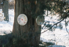 Fh000072_ReallySuperCold