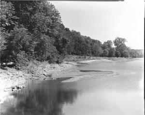 4x5Negative1 bc small jpeg70