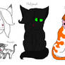 Favorite Warrior Cats