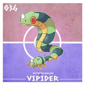 036 - VIPIDER