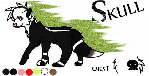 Skull refence sheet