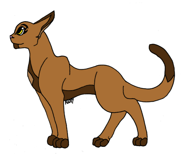 Flutter Reference Flutter Reference by Mistclaw on DeviantArt