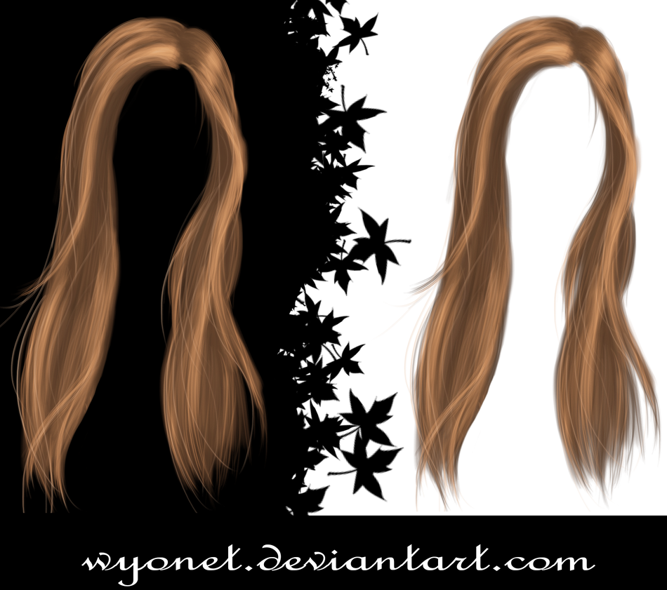 Hair Stock 3 by Wyonet