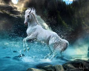 River dance by Wyonet River dance by Wyonet