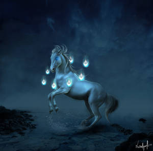 Magic by Wyonet Magic by Wyonet