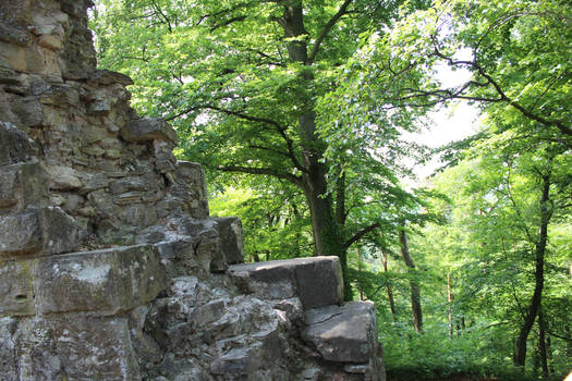 castle ruins Blankenhorn Germany