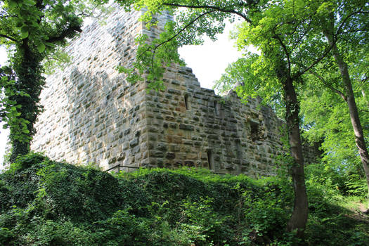 castle ruins Blankenhorn Germany