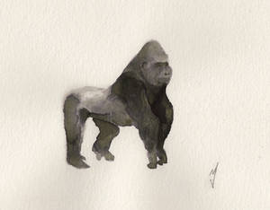 Silverback in Ink