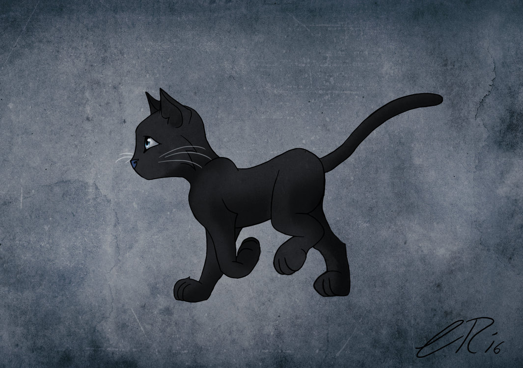 Set of black cat icon collection. Black cat poses for walk animation -  Stock Image - Everypixel