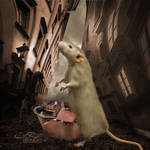 City Rats by BiBiARTs