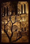 Phantom Cathedral by greenandyellow
