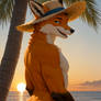 Hawaiian Fox