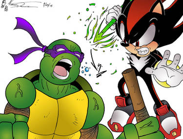 Donatello V.S. Shadow