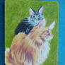 Two cats on a postcard