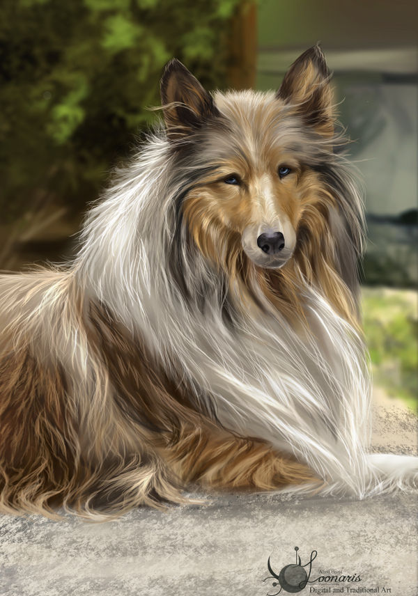 Commission Lucy + SPEEDPAINT VIDEO