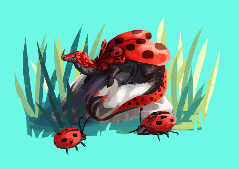 Deviantart Insect Lady Tiny Insect Dragon - Lady Red by Loonaris on DeviantArt