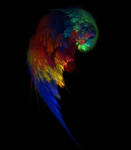 Heavy Wings 03 by Pyrosaint-Stox