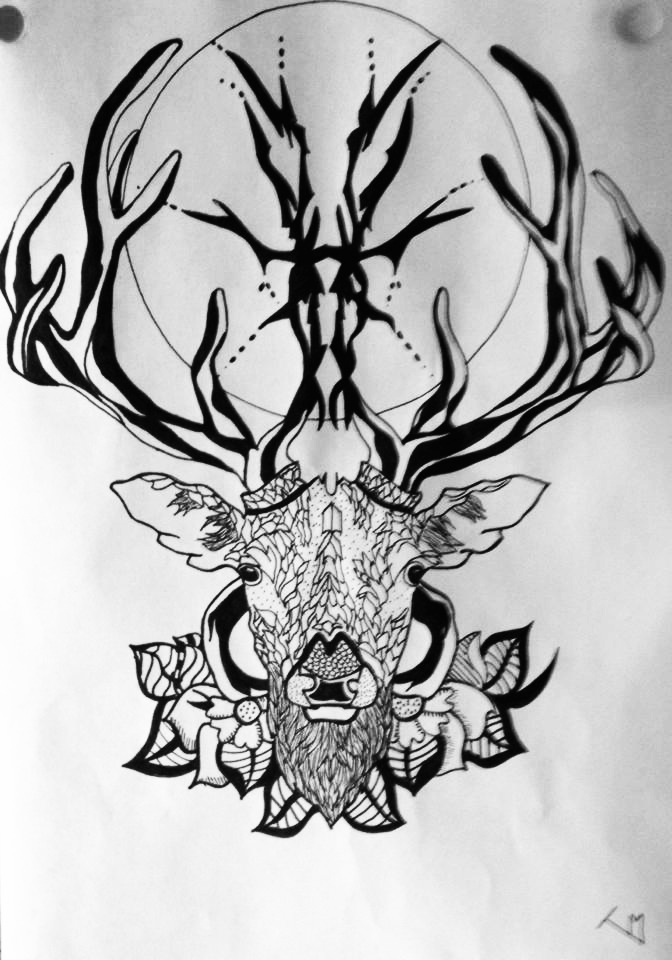 deer