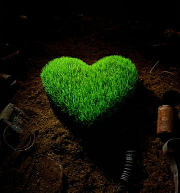 green heart